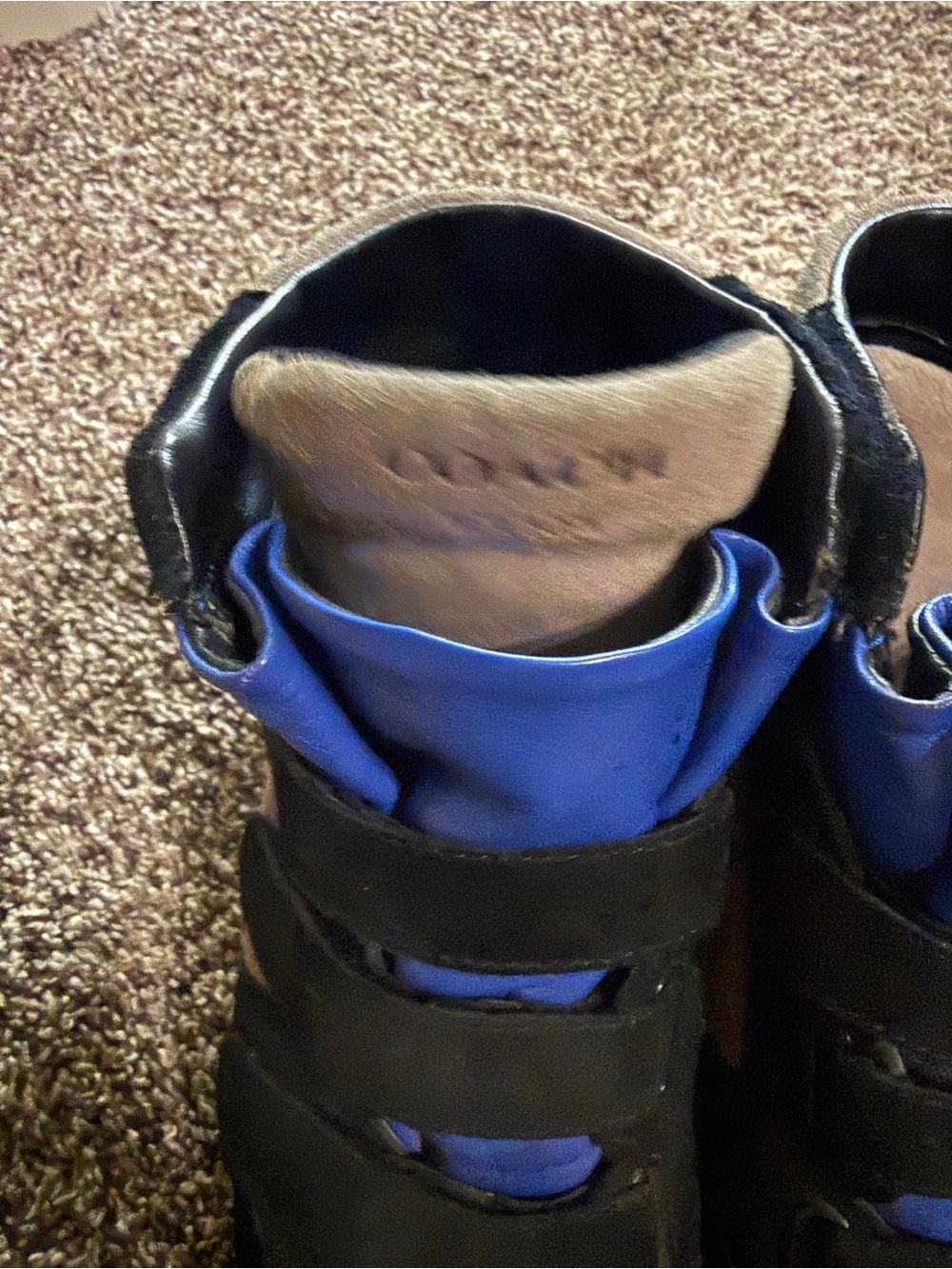 Coach Dreama Wedge Suede Sneaker Sneakers in Black and Blue - Picture 5 of 8